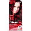 Маска для волосся тонуюча Рябина Acme Color TON Oil Mask №034 Дика вишня