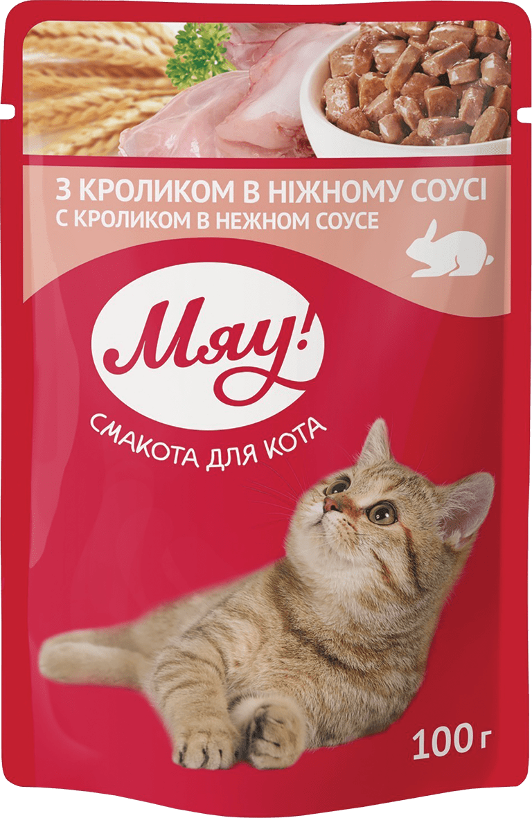 pict_124938.png