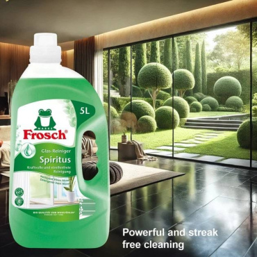 Засіб для миття скла FROSCH спиртовий 5 л фото 1