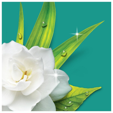 Универсальное средство для мытья пола и стен MR PROPER Утренняя роса 1.5 л фото 1