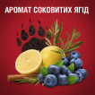 Твердий дезодорант Old Spice Bearglove 50 мл фото 6
