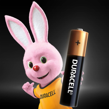 Лужні батарейки DURACELL Basic AAA, в упаковці 2 шт фото 2