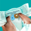 Подгузники Pampers Active Baby Размер 4 (9-14 кг) 46 шт фото 3