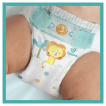 Pampers Active Baby підгузки Розмір 5 (11-16 кг), 38 шт фото 8