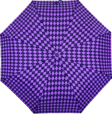 Зонтик женский SKY (CH-SPR-25-93) 1 шт. (цвет в ассортименте) фото 1