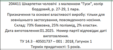 Shagal  Мужские носки с рисунком 