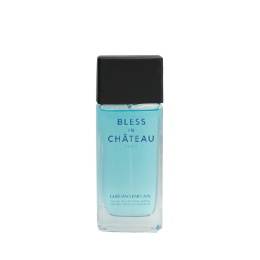 GORDANO PARFUMS Bless in Chateau туалетная вода мужская, 50мл фото 1