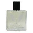 GORDANO PARFUMS Invitation туалетная вода мужская, 100мл фото 1