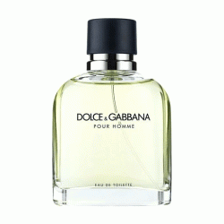 Туалетная вода для мужчин Dolce&Gabbana Pour Homme 75 мл