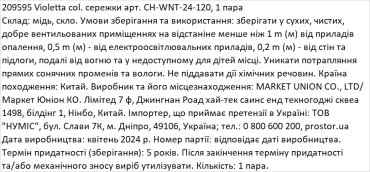 Серьги Violetta с голубыми камнями, 1 пара фото 1