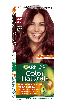 Garnier Color Naturals фарба д/волосся №4.62 Дика вишня фото 1