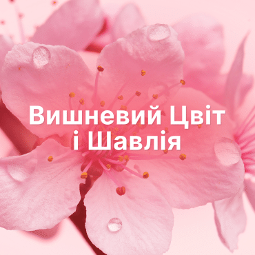 Lenor конд. д/білизни Вишневий цвіт та Шавлія, 700мл фото 6