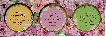 Набор подарочный уход за телом Dream of Flowers фото 1