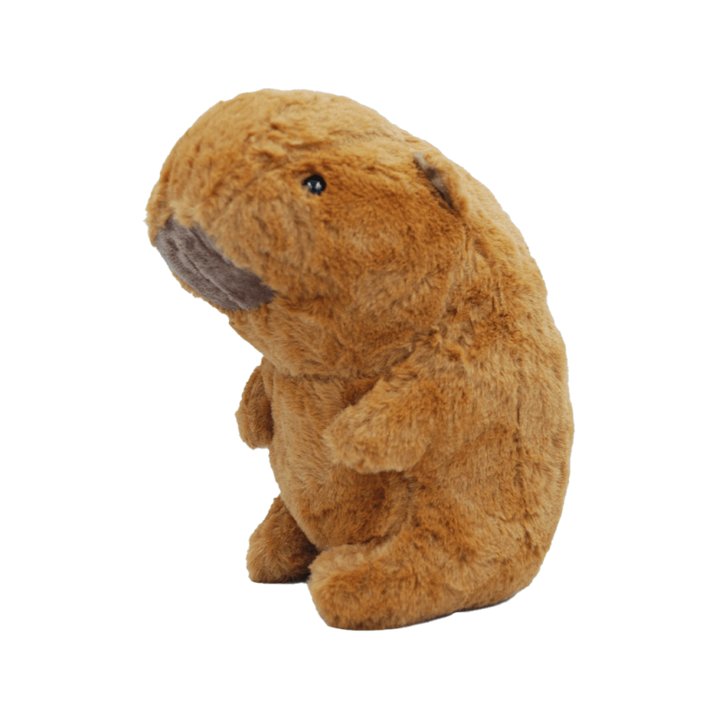 pict_211234.png