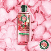 Подарунковий набiр догляд за волоссям Herbal Essences фото 4