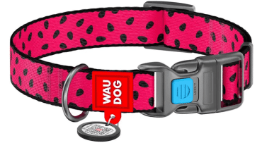 WAUDOG Nylon нашийник для собак нейлоновий з QR паспортом, малюнок Кавун, 25-35 сантиметрів
