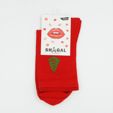 Shagal Жіночі зимові шкарпетки з вишивкою 