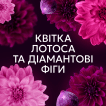 Кондиціонер для білизни Lenor Квітка лотоса 59 циклів прання 1.239 л фото 5