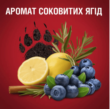 Дезодорант-стик Old Spice Bearglove, 85 мл фото 1
