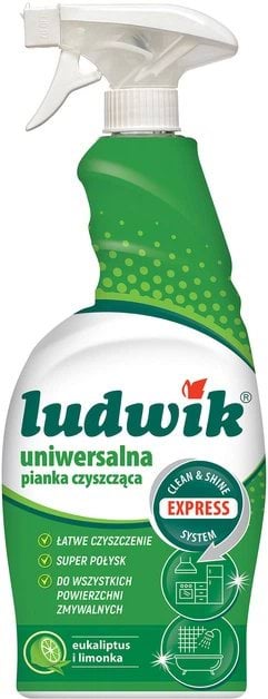 Очисна піна-спрей Ludwik Express System універсальна 750 мл
