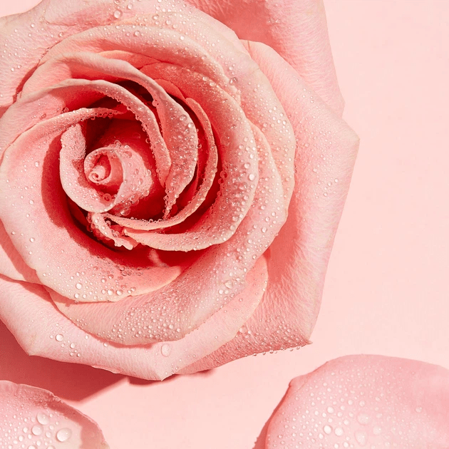 Міцелярна вода Garnier Skin Naturals з трояндовою водою 100 мл фото 8