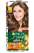 Фарба для волосся Garnier Color Naturals відтінок 6 Лісовий горіх