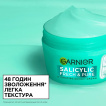 Крем для лица Garnier Skin Naturals Salicylic Acid 85 мл фото 1
