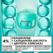 Крем для лица Garnier Skin Naturals Salicylic Acid 85 мл фото 3