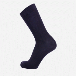 Дюна шкарпетки чоловічі 2142, р.27-29 сині