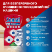Таблетки Somat по уходу за посудомоечной машиной 3 шт. фото 1