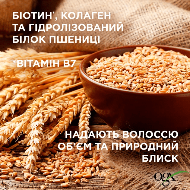 Набір OGX біотинова формула з колагеном для об’єму та зміцнення волосся шампунь 385 мл + кондиціонер 385 мл фото 5