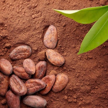 Крем-краска для волос Palette № 4-0 стойкая Каштановый фото 8