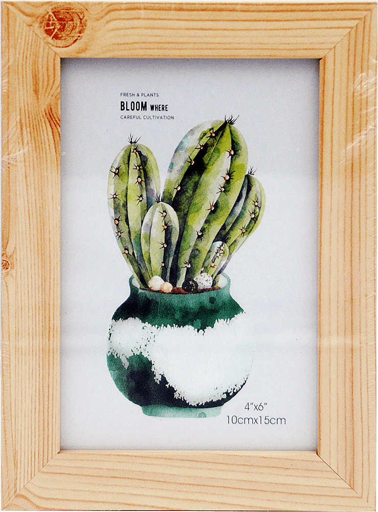 Фоторамка із зображенням кактуса настільна  розмір 10х20 см, 1 шт