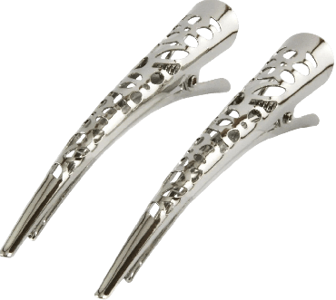 Затиски для волосся Violetta (CH-SPR-25-614) 2 шт