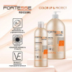 Шампунь Fortesse professional color up & protect для окрашенных волос 400 мл фото 1
