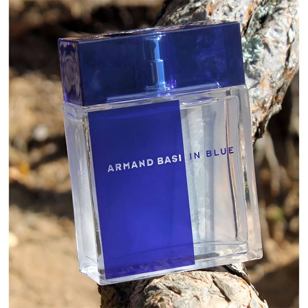 Туалетная вода Armand Basi In Blue мужская 100 мл фото 1