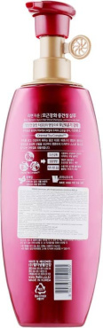 Шампунь LG Household & Health ReEn Jayun Hair Shine Shampoo для пошкодженого та тьмяного волосся 500 мл фото 1