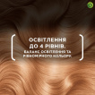 Крем-фарба для волосся Garnier Color Sensation cтійка відтінок HL1 Ванільний шатен 110 мл фото 1
