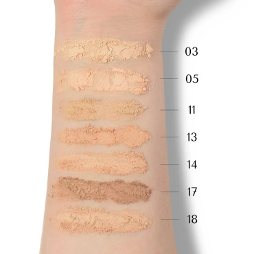 Пудра для обличчя Color Me Silk Powder Matte відтінок 14, 10 г фото 4