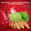 Дезодорант-стик Old Spice Captain 85 мл фото 2