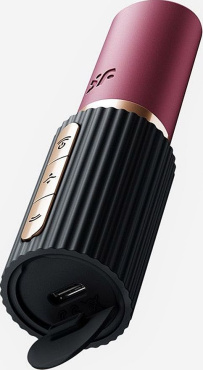 Вакуумный стимулятор клитора Satisfyer Pro 2 Kiss