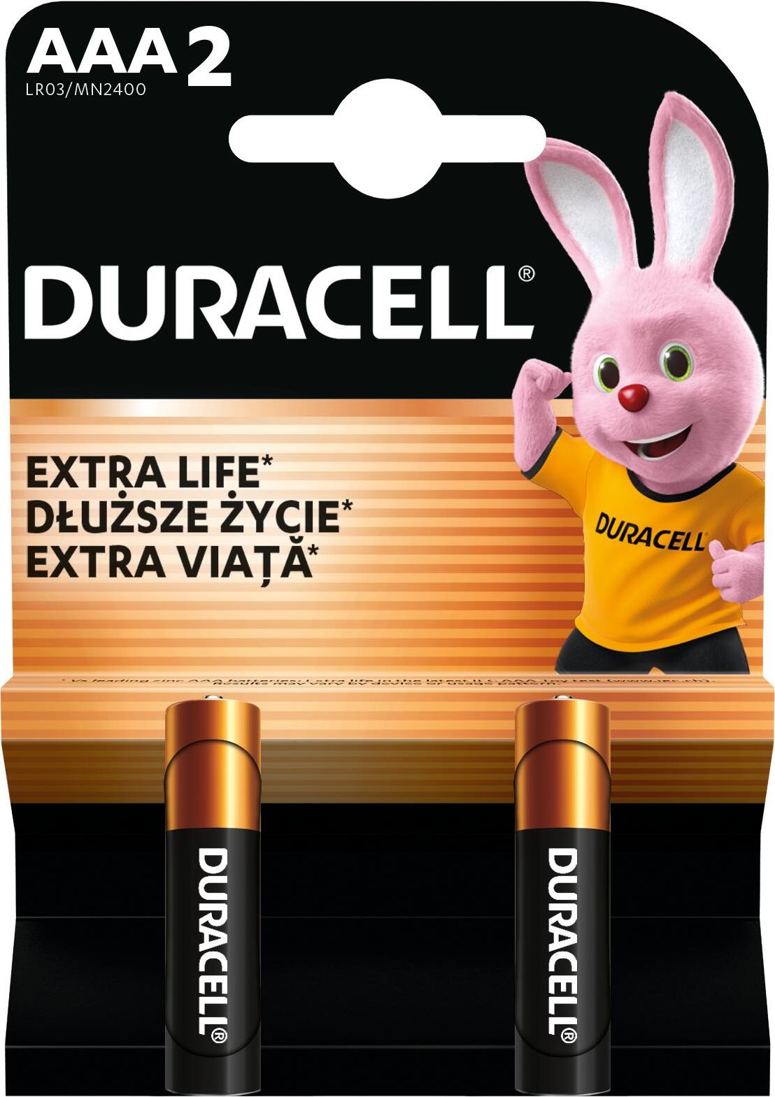 Лужні батарейки DURACELL Basic AAА в упаковці 2 шт.