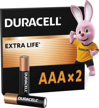 Щелочные батарейки DURACELL Basic AAA в упаковке 2 шт. фото 2