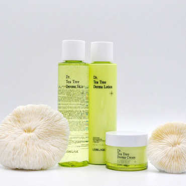 Тонер для обличчя заспокійливий Lebelage Tee Tree Derma Skin з екстрактом чайного дерева 210 мл фото 2
