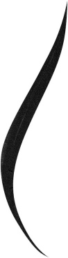 Подводка фломастер Bourjois LINER FEUTRE Ультра-черный фото 1