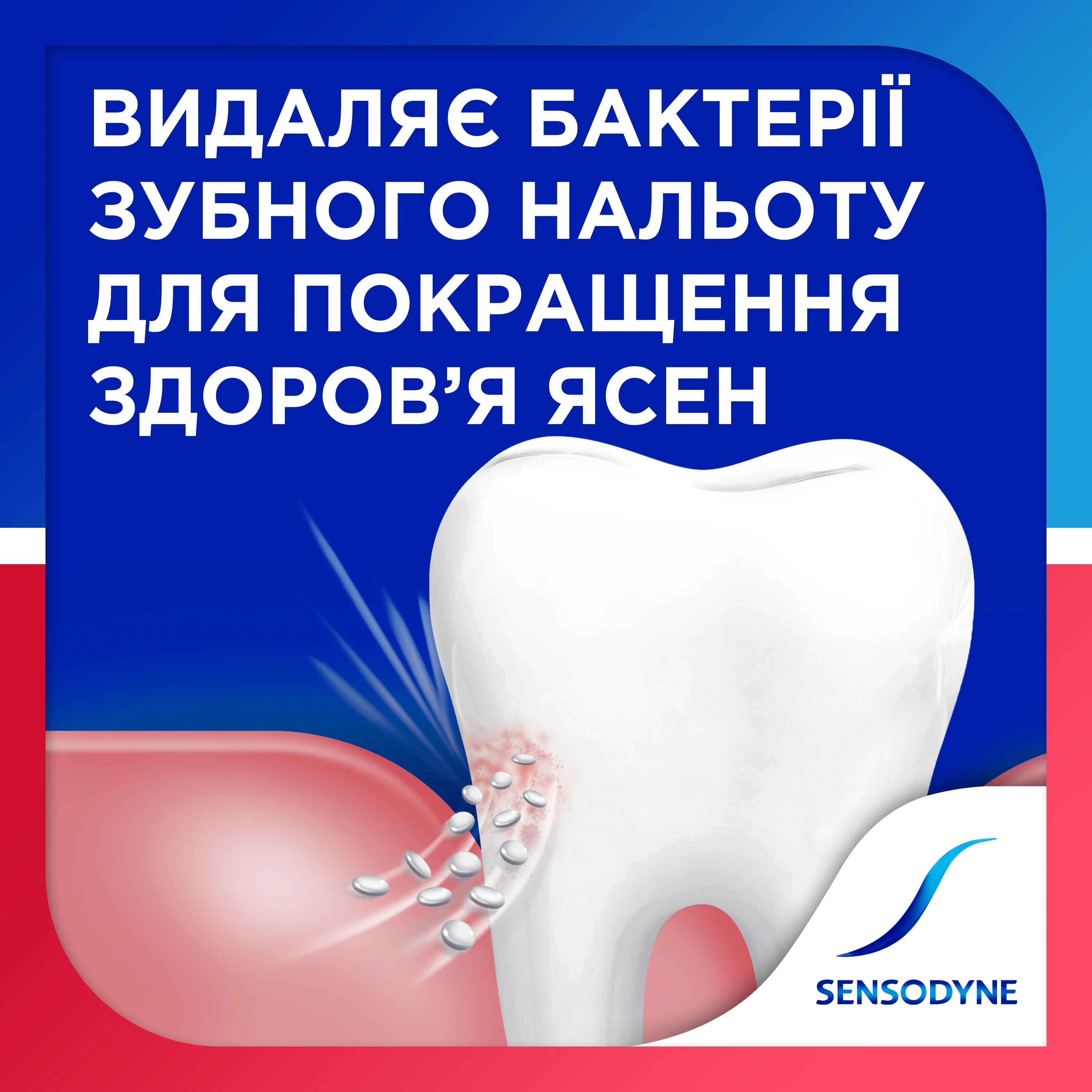 Зубна паста  Sensodyne чутливість зубів і захист ясен 75 мл фото 3