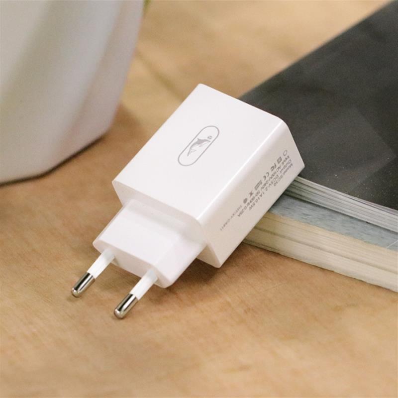 Сетевое зарядное устройство SkyDolphin SC30 (2USB/2.1A) белый фото 3