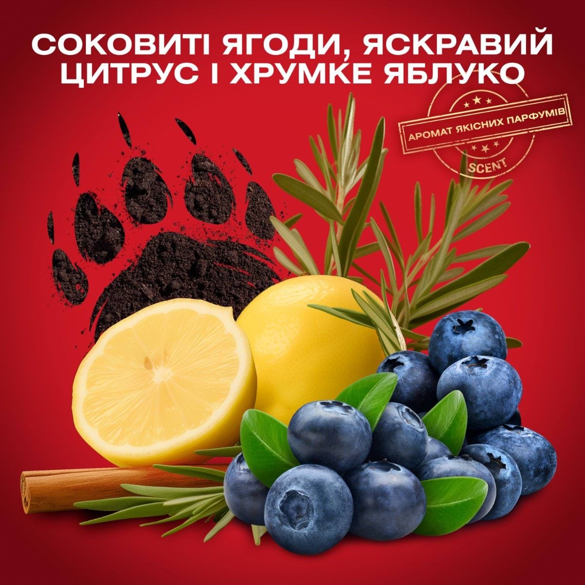 Аерозольний дезодорант Old Spice Bearglove 150 мл фото 2