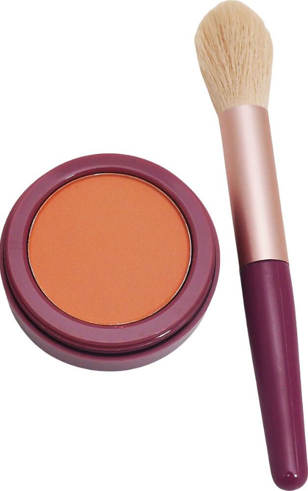 Набор кисть и румяна для лица DAISY COLORS Blend Kit (Brush & Blush) (Blister) фото 1
