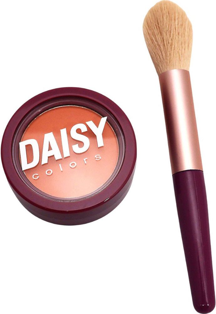 Набор кисть и румяна для лица DAISY COLORS Blend Kit (Brush & Blush) (Blister) фото 2